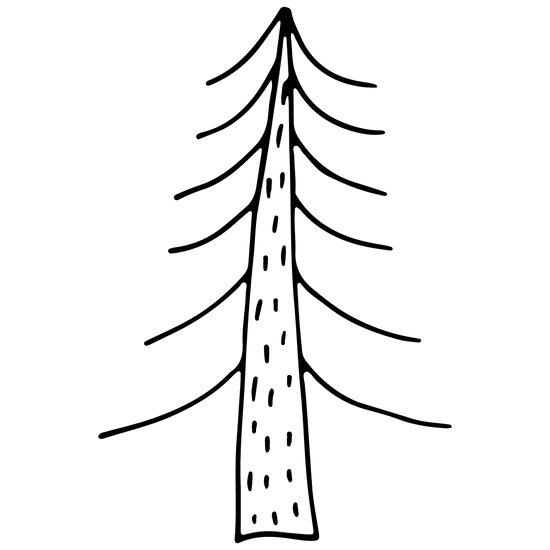 tree drawing